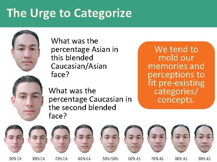 The Urge to Categorize What was the percentage Asian in this blended Caucasian/Asian face?