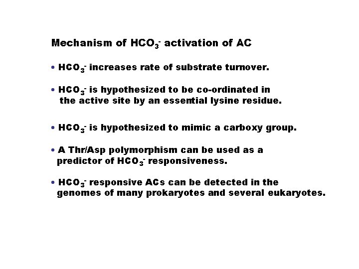 Mechanism of HCO 3 - activation of AC • HCO 3 - increases rate