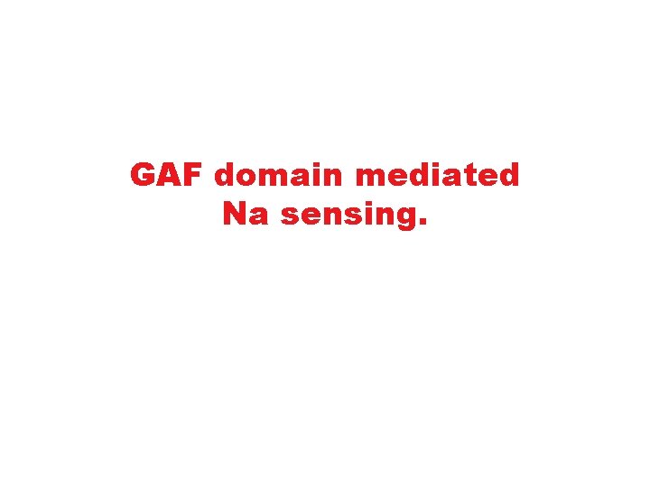 GAF domain mediated Na sensing. 