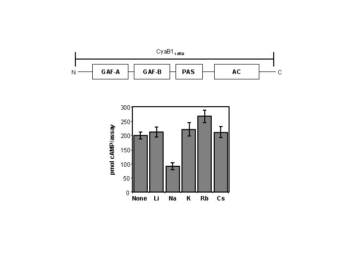 Cya. B 11 -859 GAF-A GAF-B PAS AC 300 pmol c. AMP/assay N 250