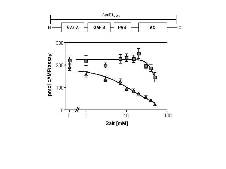 Cya. B 11 -859 GAF-A N GAF-B PAS AC C pmol c. AMP/assay 300