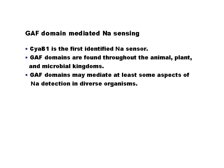 GAF domain mediated Na sensing • Cya. B 1 is the first identified Na
