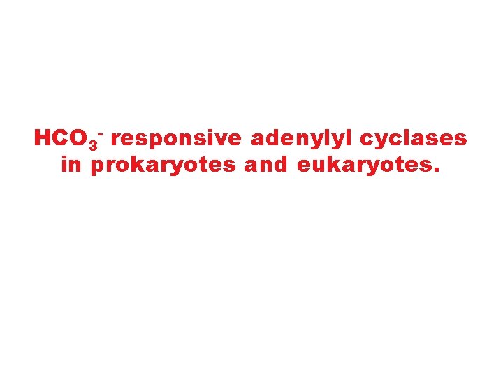 HCO 3 - responsive adenylyl cyclases in prokaryotes and eukaryotes. 