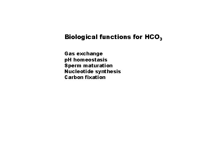Biological functions for HCO 3 Gas exchange p. H homeostasis Sperm maturation Nucleotide synthesis