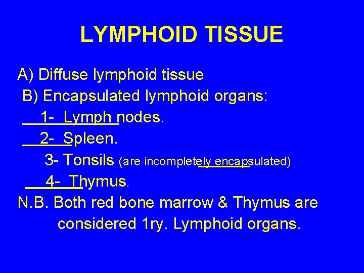 LYMPHOID TISSUE A) Diffuse lymphoid tissue B) Encapsulated lymphoid organs: 1 - Lymph nodes.