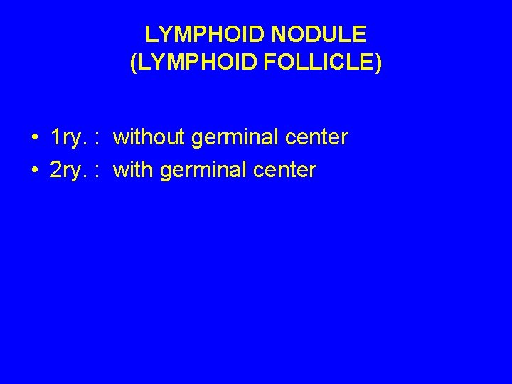 LYMPHOID NODULE (LYMPHOID FOLLICLE) • 1 ry. : without germinal center • 2 ry.