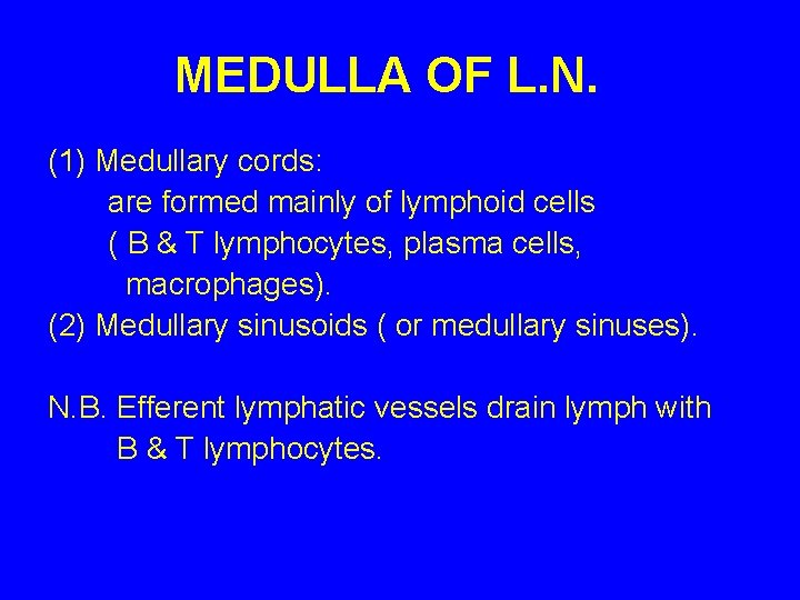 MEDULLA OF L. N. (1) Medullary cords: are formed mainly of lymphoid cells (