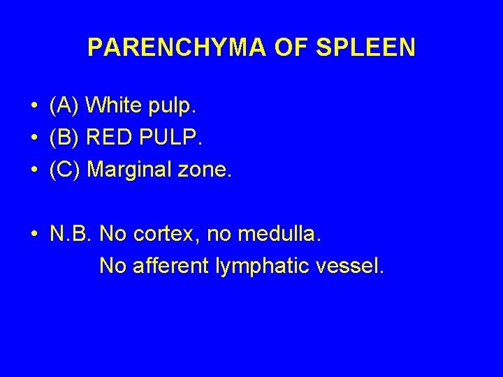 PARENCHYMA OF SPLEEN • (A) White pulp. • (B) RED PULP. • (C) Marginal