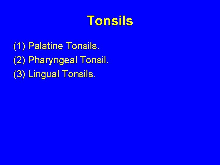Tonsils (1) Palatine Tonsils. (2) Pharyngeal Tonsil. (3) Lingual Tonsils. 