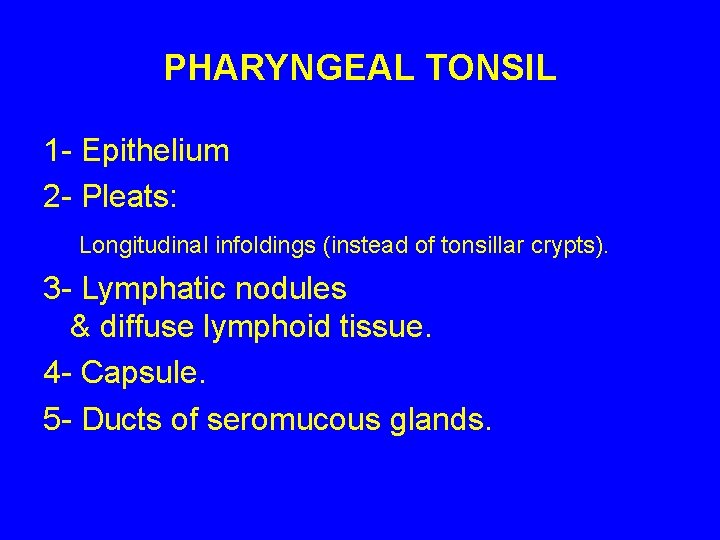 PHARYNGEAL TONSIL 1 - Epithelium 2 - Pleats: Longitudinal infoldings (instead of tonsillar crypts).