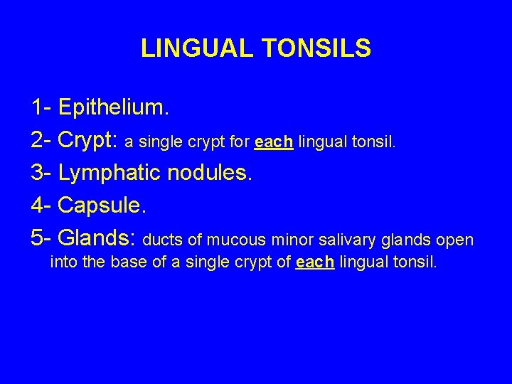 LINGUAL TONSILS 1 - Epithelium. 2 - Crypt: a single crypt for each lingual