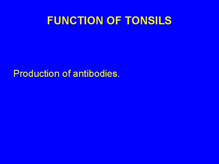 FUNCTION OF TONSILS Production of antibodies. 