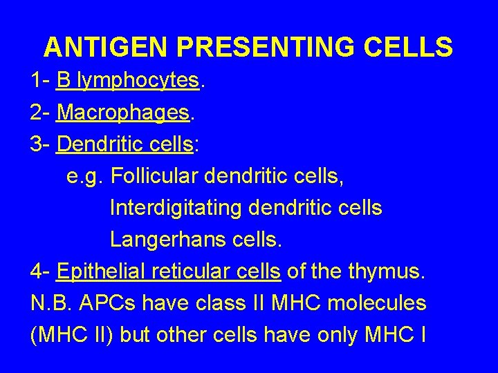 ANTIGEN PRESENTING CELLS 1 - B lymphocytes. 2 - Macrophages. 3 - Dendritic cells: