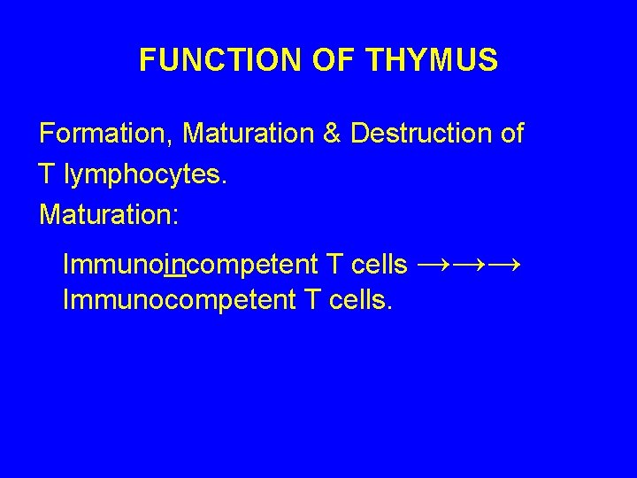 FUNCTION OF THYMUS Formation, Maturation & Destruction of T lymphocytes. Maturation: Immunoincompetent T cells