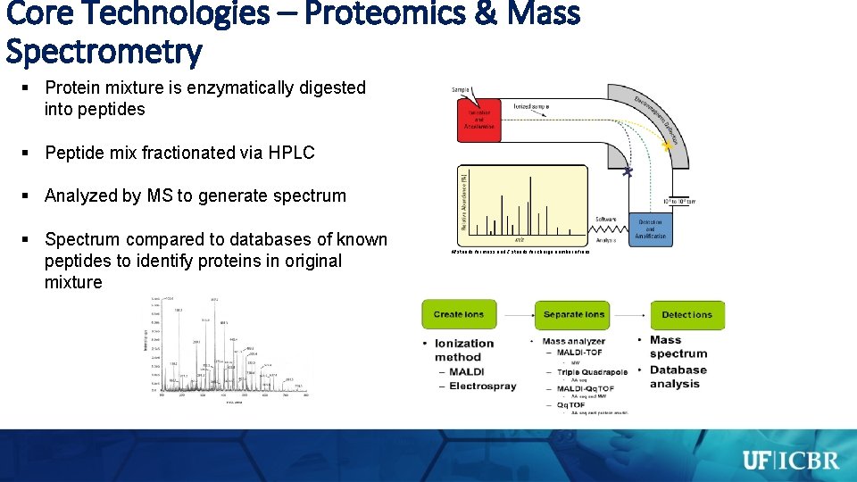 Core Technologies – Proteomics & Mass Spectrometry § Protein mixture is enzymatically digested into