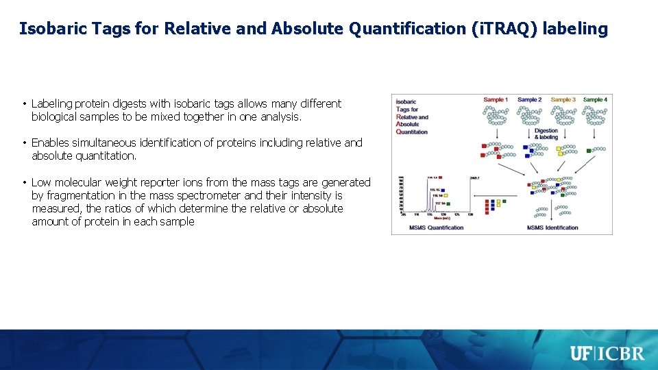 Isobaric Tags for Relative and Absolute Quantification (i. TRAQ) labeling • Labeling protein digests