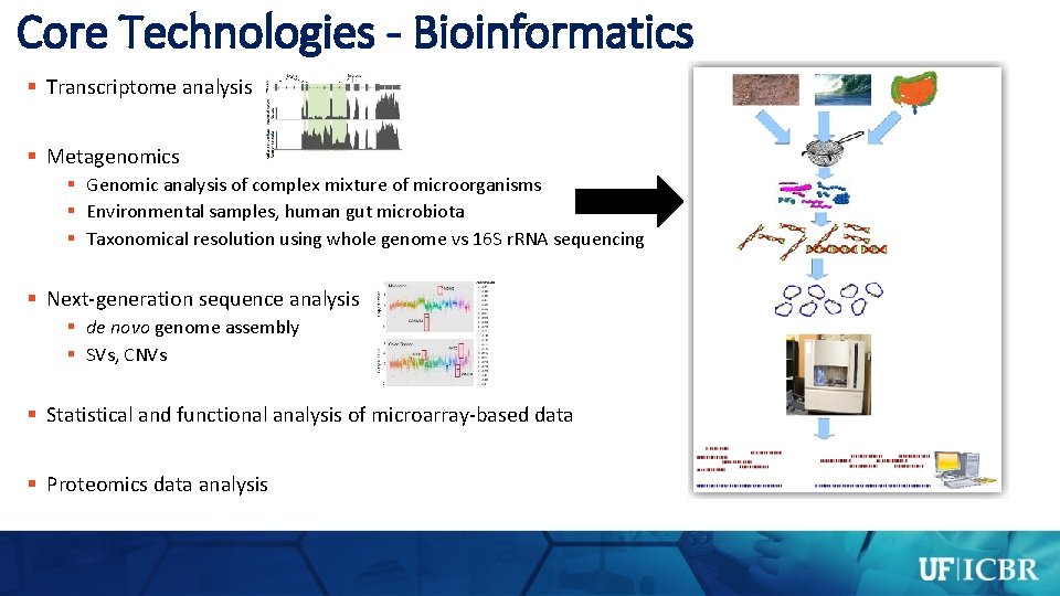 Core Technologies - Bioinformatics § Transcriptome analysis § Metagenomics § Genomic analysis of complex