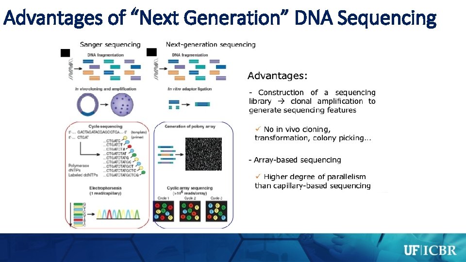 Advantages of “Next Generation” DNA Sequencing 