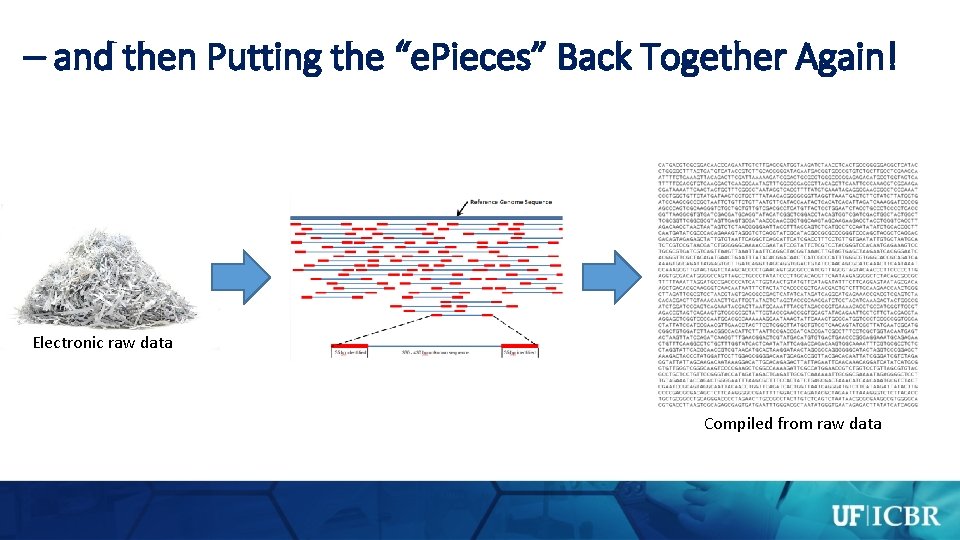 – and then Putting the “e. Pieces” Back Together Again! Electronic raw data Compiled