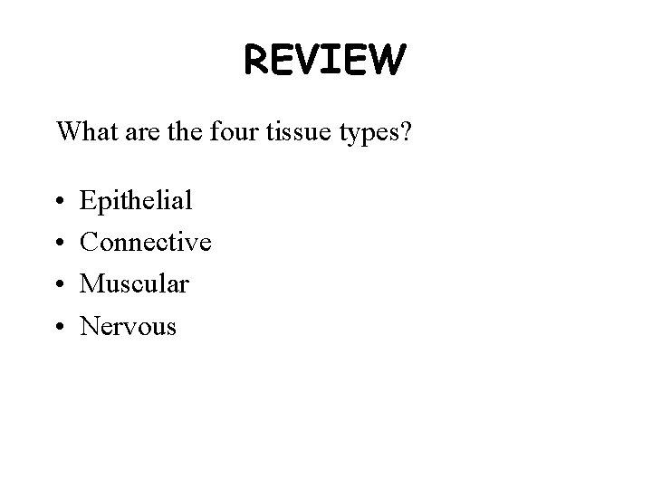 REVIEW What are the four tissue types? • • Epithelial Connective Muscular Nervous 