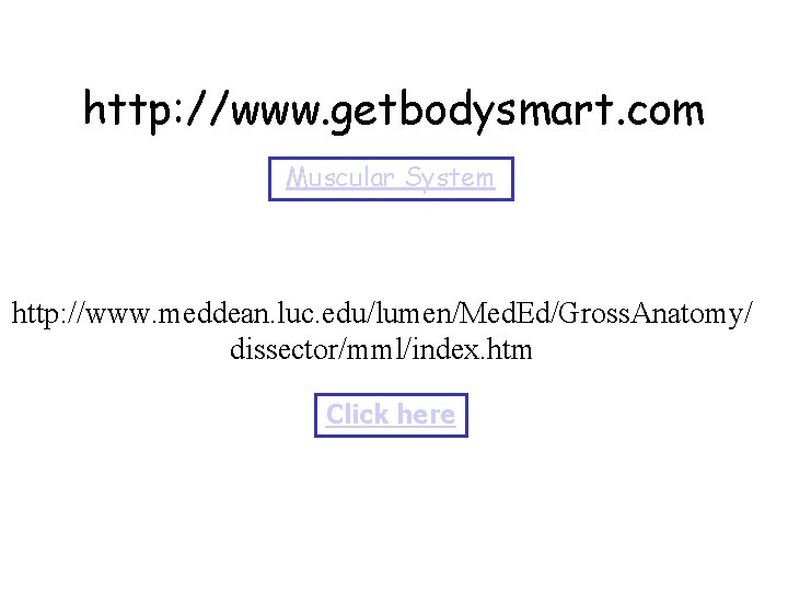 http: //www. getbodysmart. com Muscular System http: //www. meddean. luc. edu/lumen/Med. Ed/Gross. Anatomy/ dissector/mml/index.