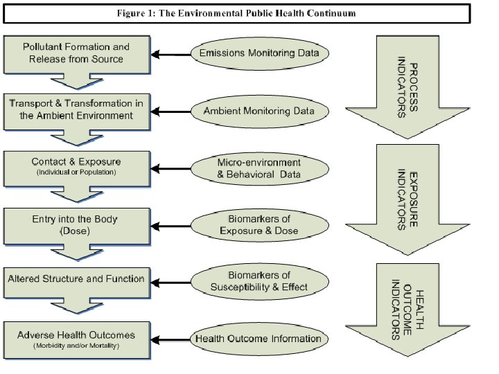 Public Health 7 