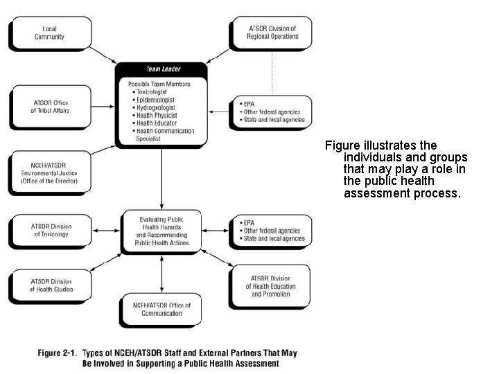 Figure illustrates the individuals and groups that may play a role in the public