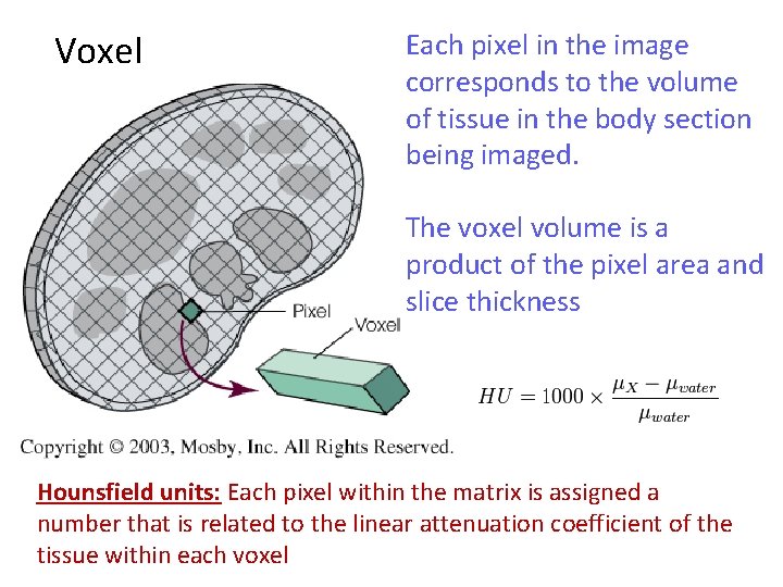 Voxel Each pixel in the image corresponds to the volume of tissue in the