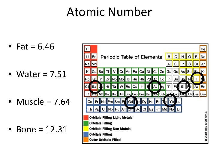 Atomic Number • Fat = 6. 46 • Water = 7. 51 • Muscle