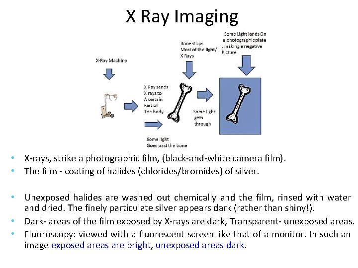 X Ray Imaging • X-rays, strike a photographic film, (black-and-white camera film). • The