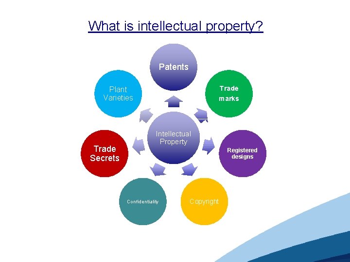 What is intellectual property? Patents Trade Plant Varieties Trade Secrets marks Intellectual Property Registered