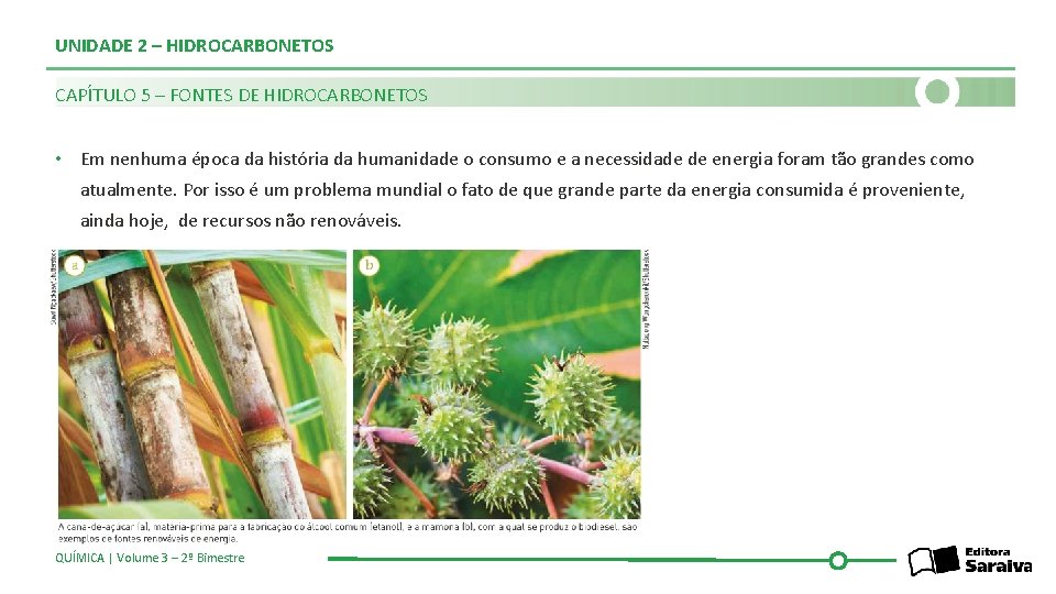 UNIDADE 2 – HIDROCARBONETOS CAPÍTULO 5 – FONTES DE HIDROCARBONETOS • Em nenhuma época