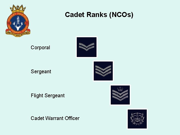 Cadet Ranks (NCOs) Corporal Sergeant Flight Sergeant Cadet Warrant Officer 