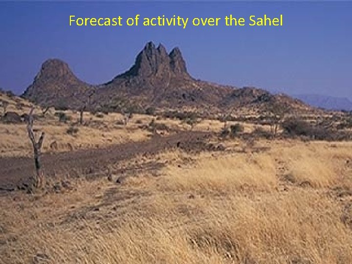 Forecast of activity over the Sahel 