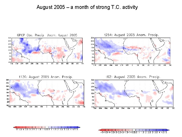 August 2005 – a month of strong T. C. activity 