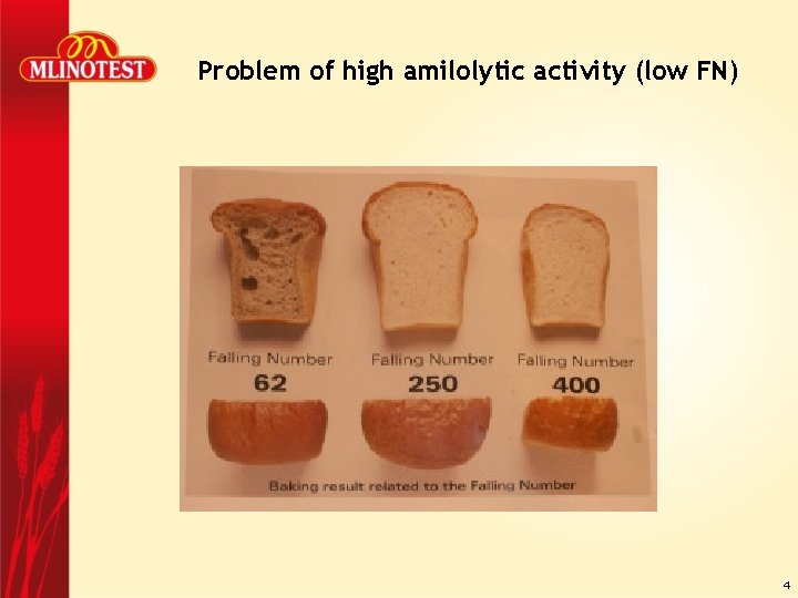 Problem of high amilolytic activity (low FN) 4 