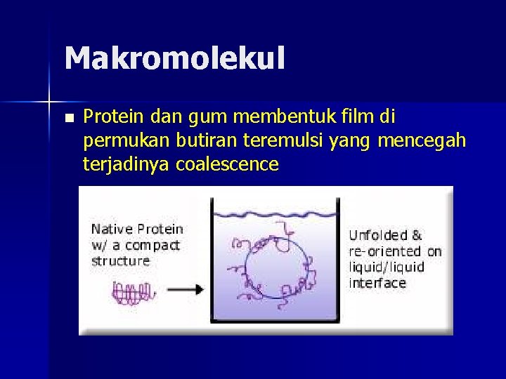 Makromolekul n Protein dan gum membentuk film di permukan butiran teremulsi yang mencegah terjadinya
