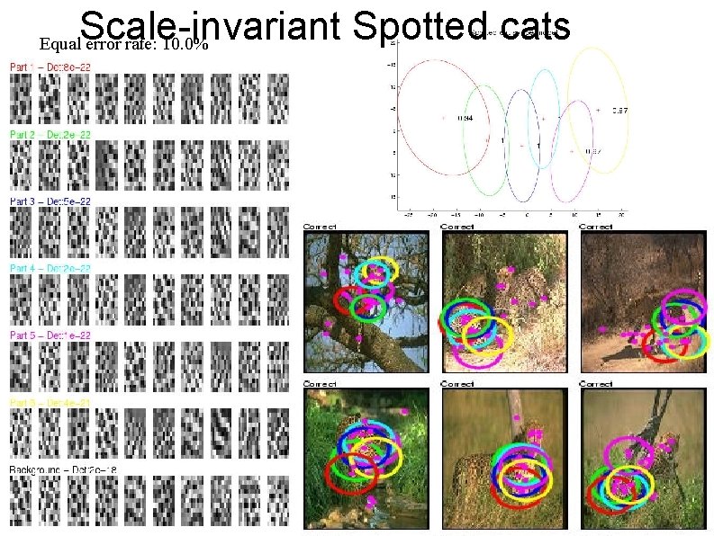 Scale-invariant Spotted cats Equal error rate: 10. 0% 