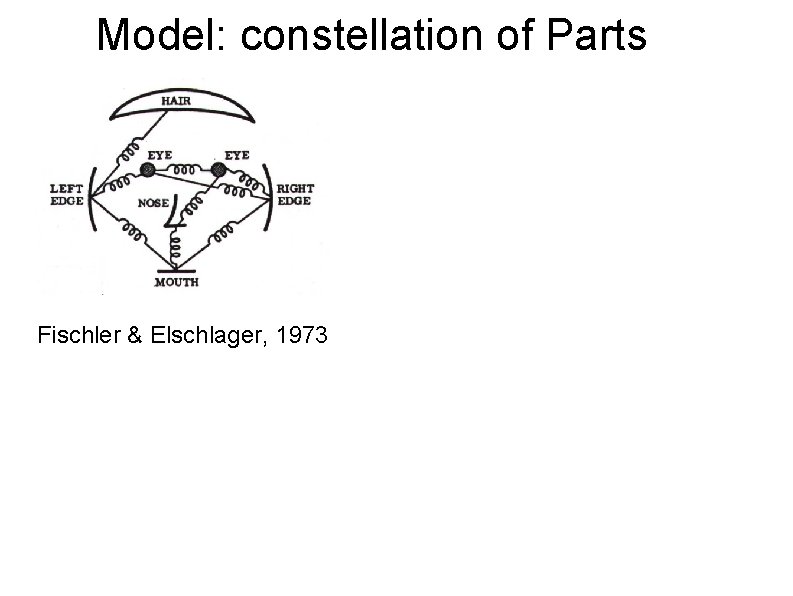 Model: constellation of Parts Fischler & Elschlager, 1973 