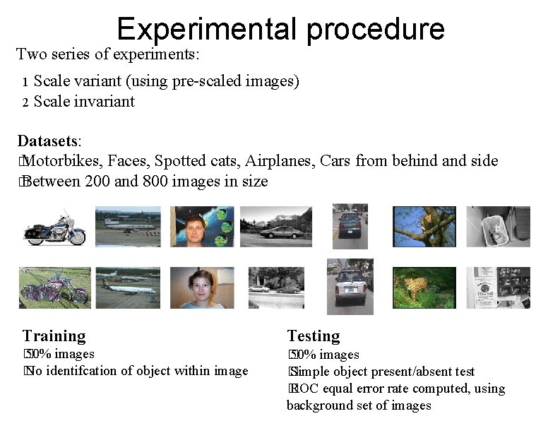 Experimental procedure Two series of experiments: Scale variant (using pre-scaled images) 2 Scale invariant