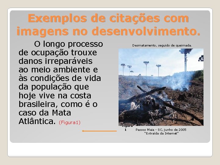 Exemplos de citações com imagens no desenvolvimento. O longo processo de ocupação trouxe danos