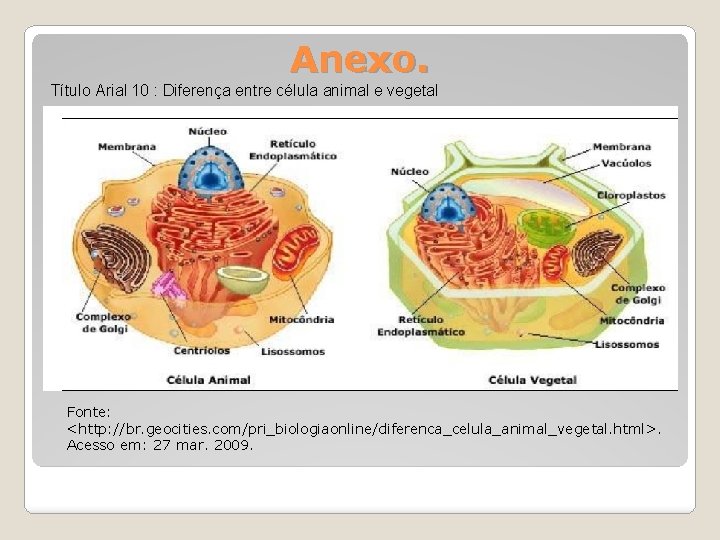  Anexo. Título Arial 10 : Diferença entre célula animal e vegetal Fonte: <http: