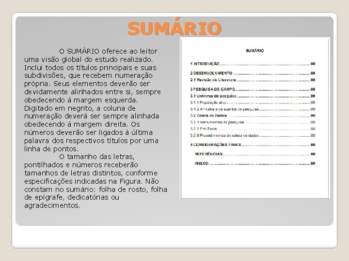 SUMÁRIO O SUMÁRIO oferece ao leitor uma visão global do estudo realizado. Inclui todos