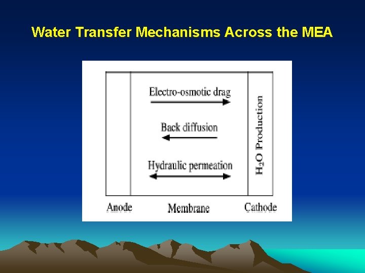 Water Transfer Mechanisms Across the MEA 