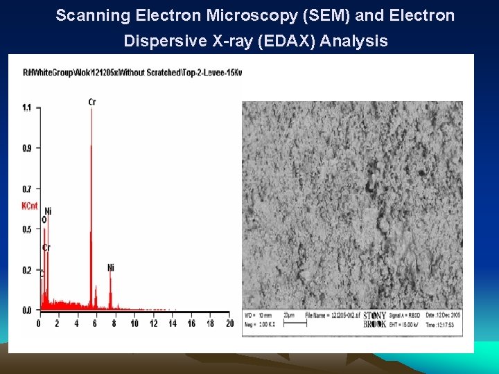 Scanning Electron Microscopy (SEM) and Electron Dispersive X-ray (EDAX) Analysis 