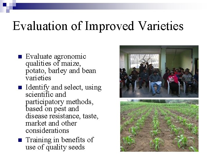 Evaluation of Improved Varieties n n n Evaluate agronomic qualities of maize, potato, barley