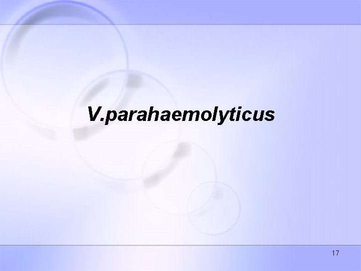 V. parahaemolyticus 17 