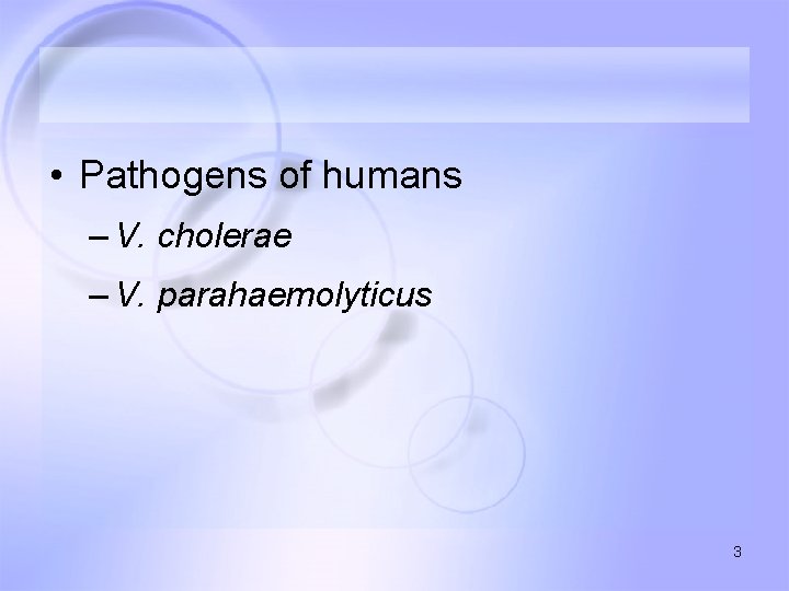  • Pathogens of humans – V. cholerae – V. parahaemolyticus 3 