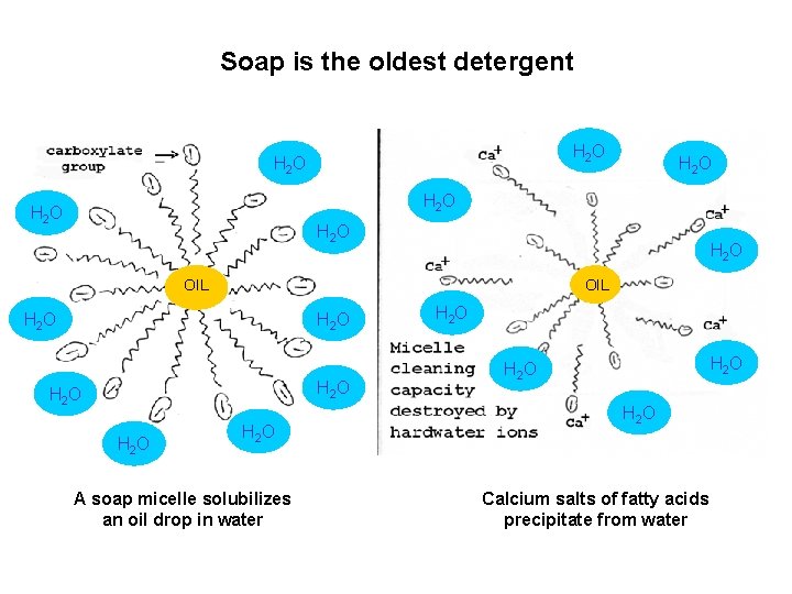 Soap is the oldest detergent H 2 O H 2 O OIL H 2