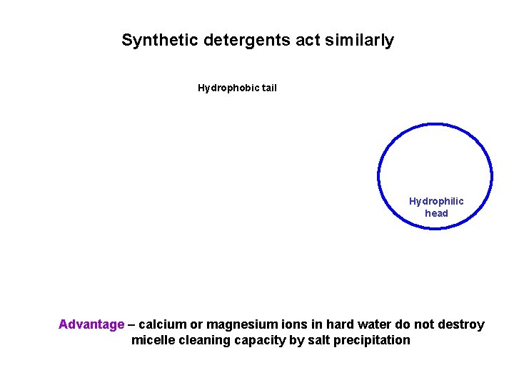 Synthetic detergents act similarly Hydrophobic tail Hydrophilic head Advantage – calcium or magnesium ions